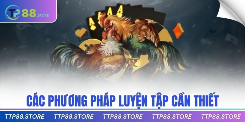 Các phương pháp luyện tập cần thiết