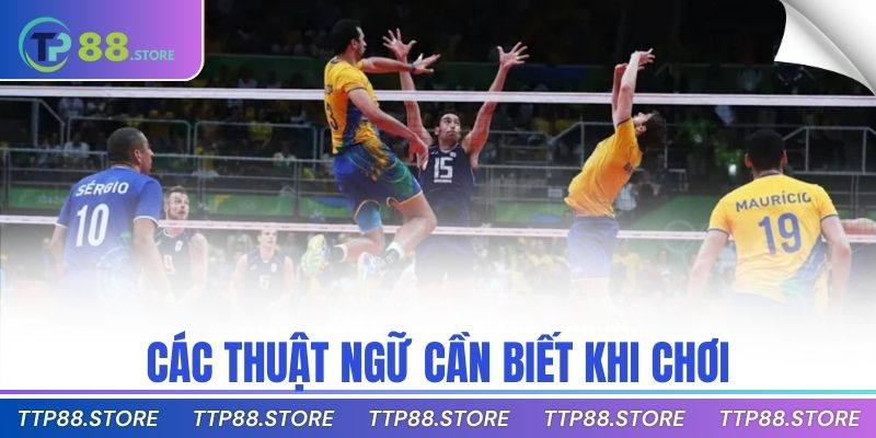 Các thuật ngữ cần biết khi chơi