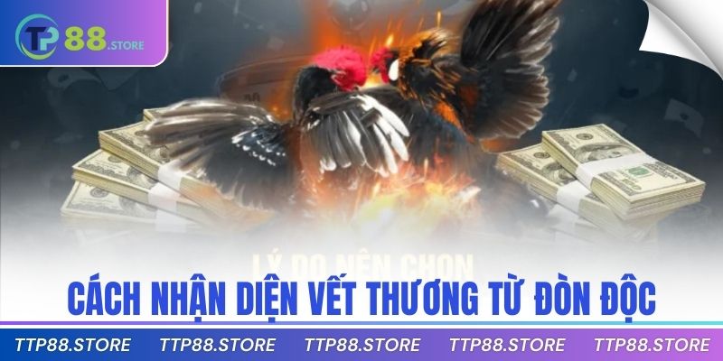 Cách nhận diện vết thương từ đòn độc