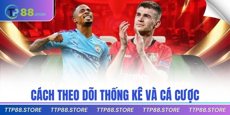Cách theo dõi thống kê và cá cược
