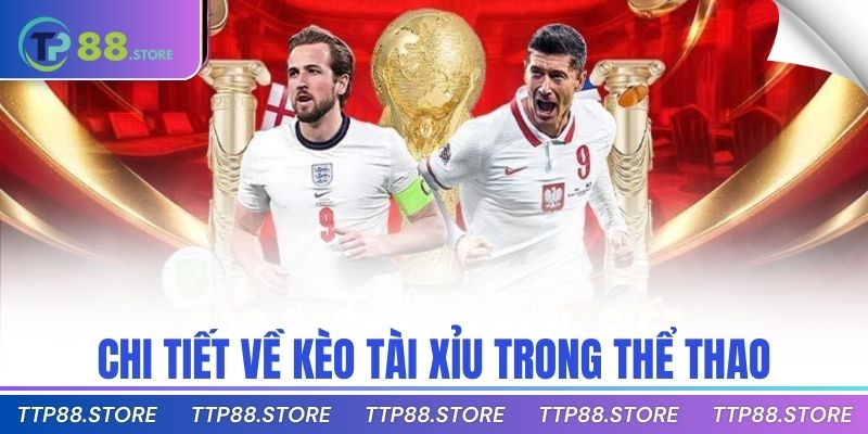 Chi tiết về kèo tài xỉu trong thể thao