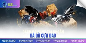 đá gà cựa dao