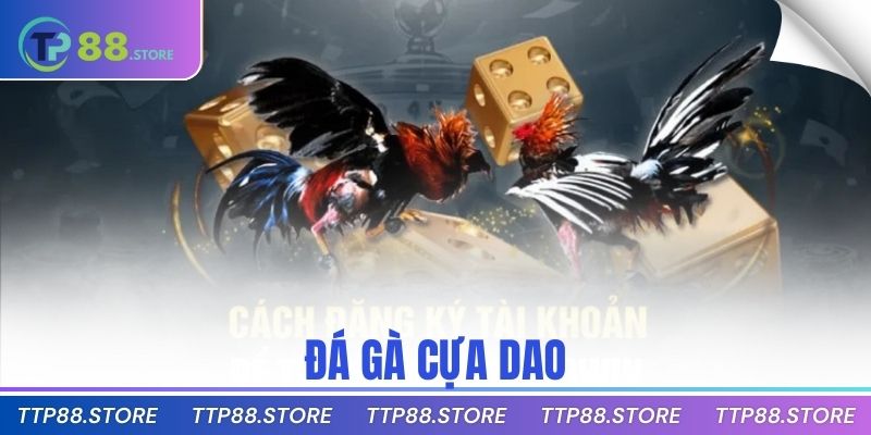 đá gà cựa dao