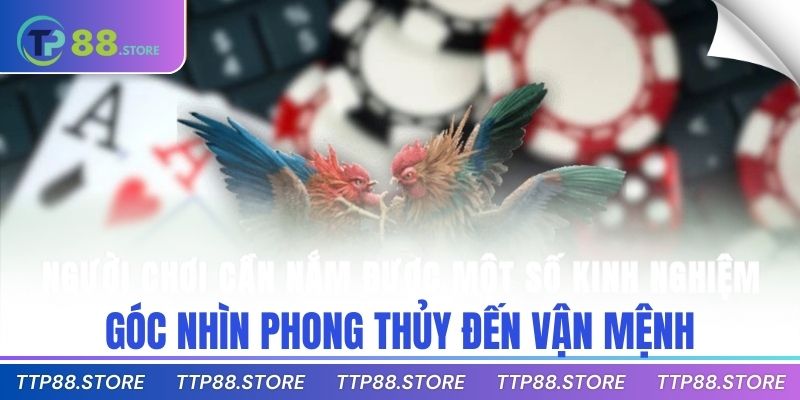 Góc nhìn phong thủy đến vận mệnh