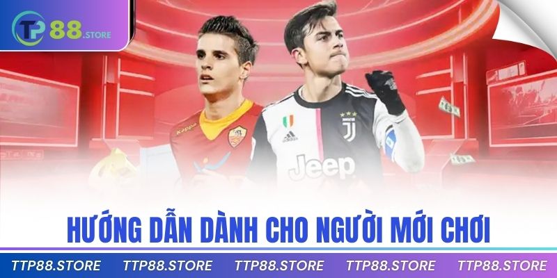 Hướng dẫn dành cho người mới chơi
