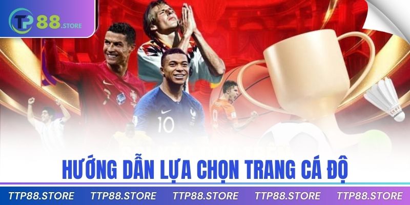 Hướng dẫn lựa chọn trang cá độ
