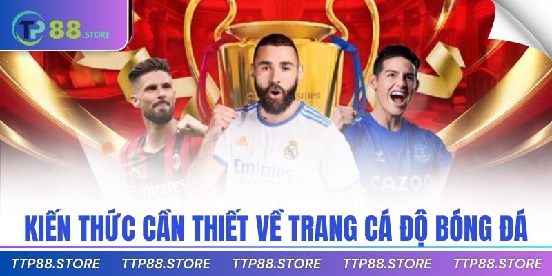 Kiến thức cần thiết về trang cá độ bóng đá