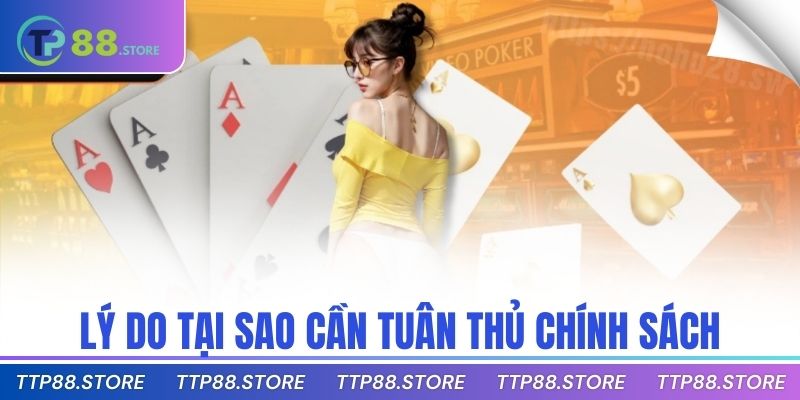 Lý do tại sao cần tuân thủ chính sách
