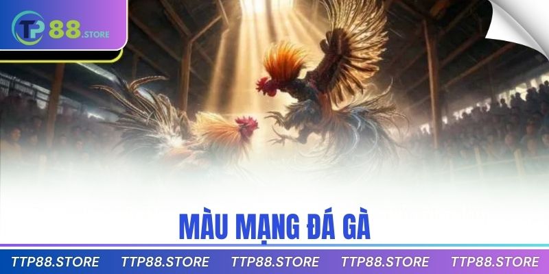 màu mạng đá gà