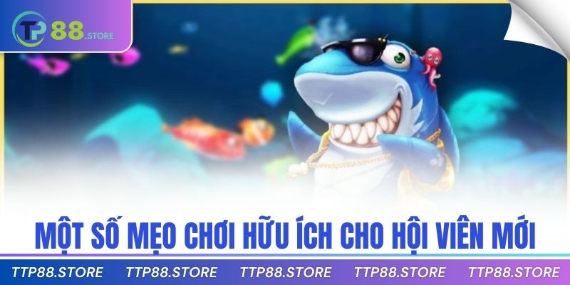Một số mẹo chơi hữu ích cho hội viên mới