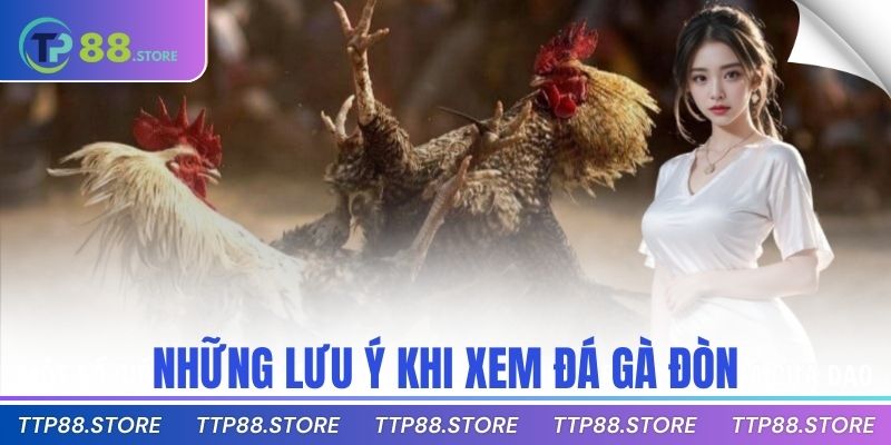 Những lưu ý khi xem đá gà đòn