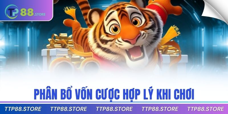 Phân bổ vốn cược hợp lý khi chơi