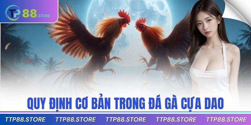 Quy định cơ bản trong đá gà cựa dao