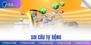 Soi Cầu Tự Động