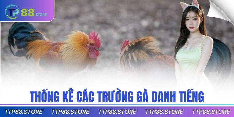 Thống kê các trường gà danh tiếng