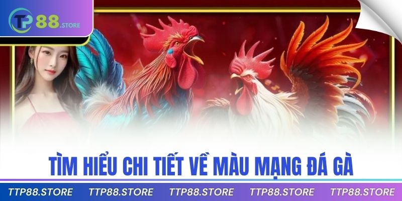Tìm hiểu chi tiết về màu mạng đá gà