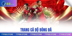 trang cá độ bóng đá