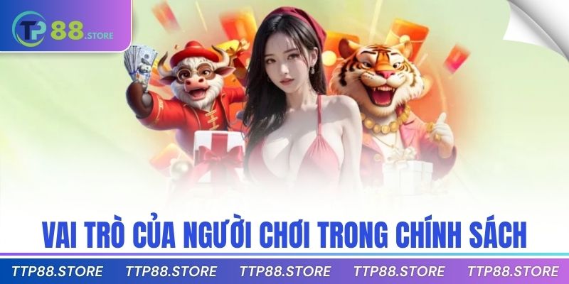 Vai trò của người chơi trong chính sách